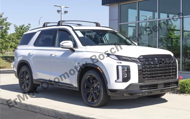 Erzincan Özel Hyundai Servis